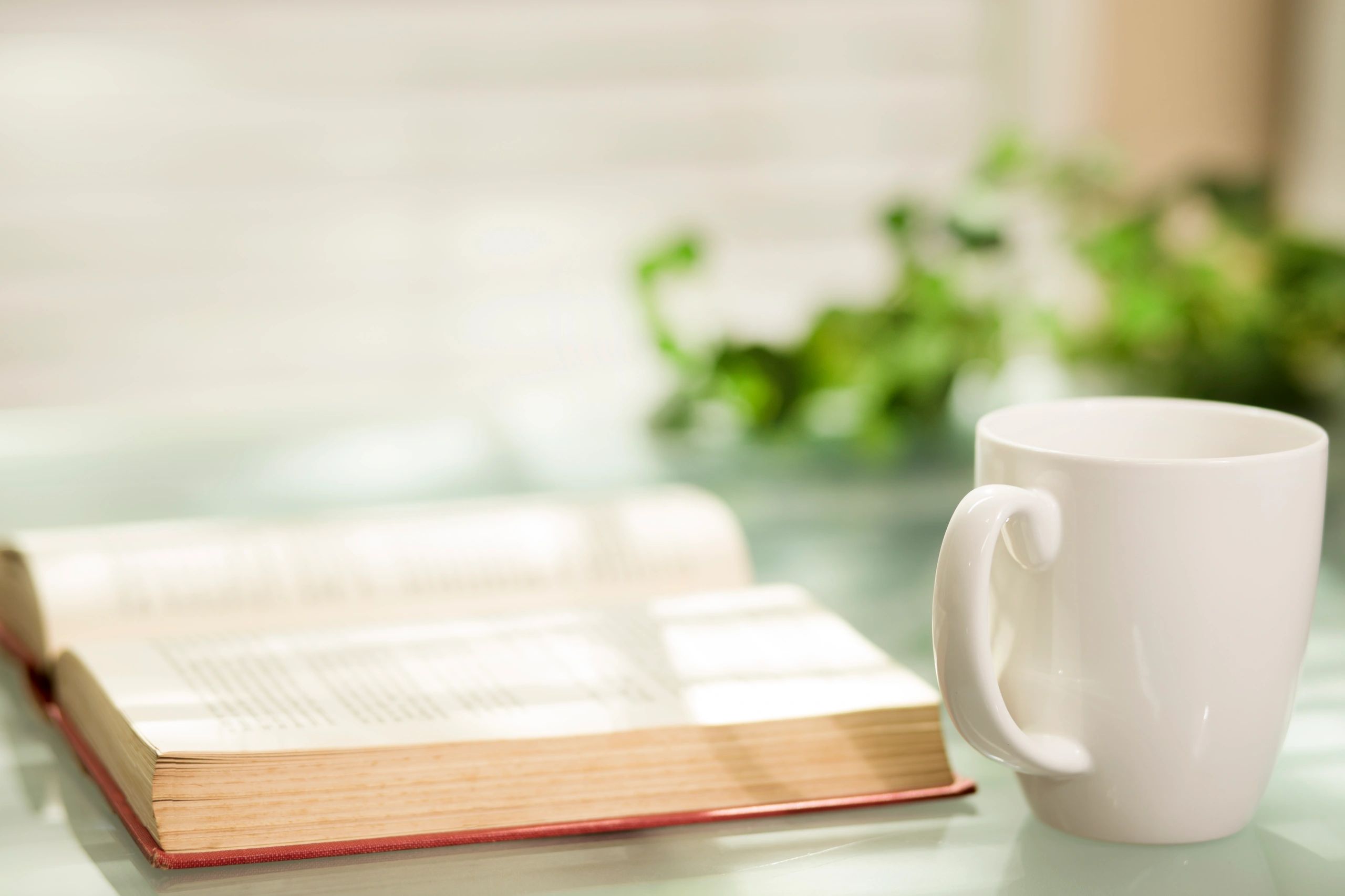 Open book and coffee on a table with soft sunlight